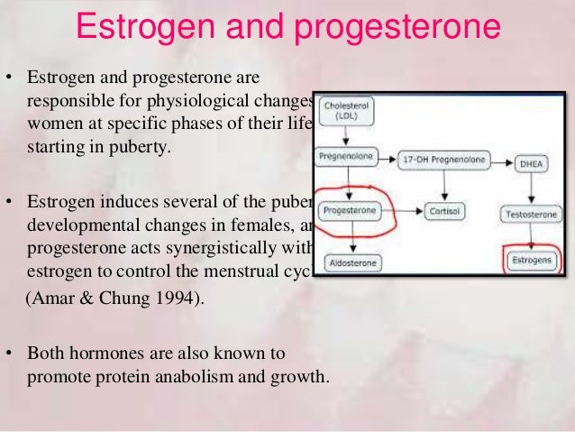 progesterone et estrogene progesterone et estrogene